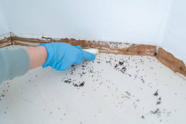 Best Commercial Pest Control Services  in Cos Co, CT